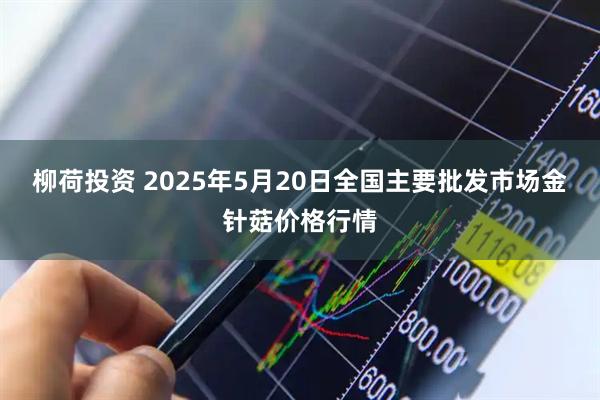 柳荷投资 2025年5月20日全国主要批发市场金针菇价格行情