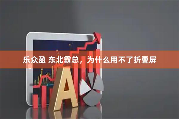 乐众盈 东北霸总，为什么用不了折叠屏